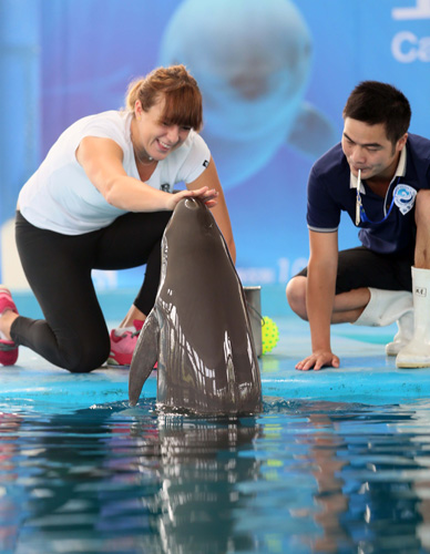 险与机会并 险与机会并